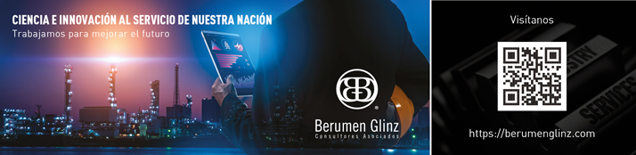 Berumen Glinz Consultores Asociados